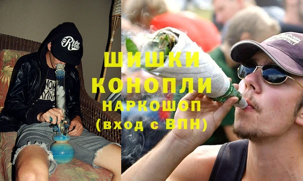 крисы Елизово