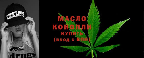 гидра Богородск