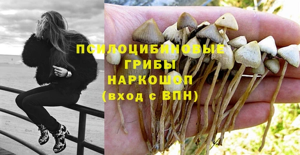 кокаин премиум Богданович