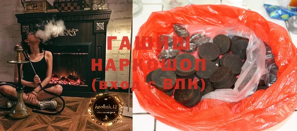 гашик Ельня